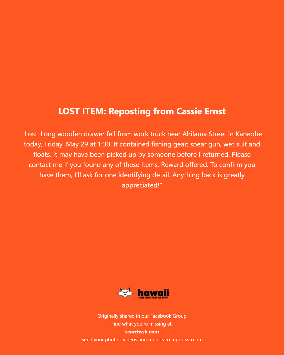 LOST ITEM - Ahilama Street, Kaneohe | Stolen Stuff Hawaii