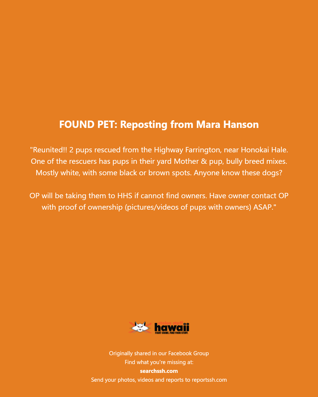 FOUND PET - Farrington Highway, near Honokai Hale | Stolen Stuff Hawaii
