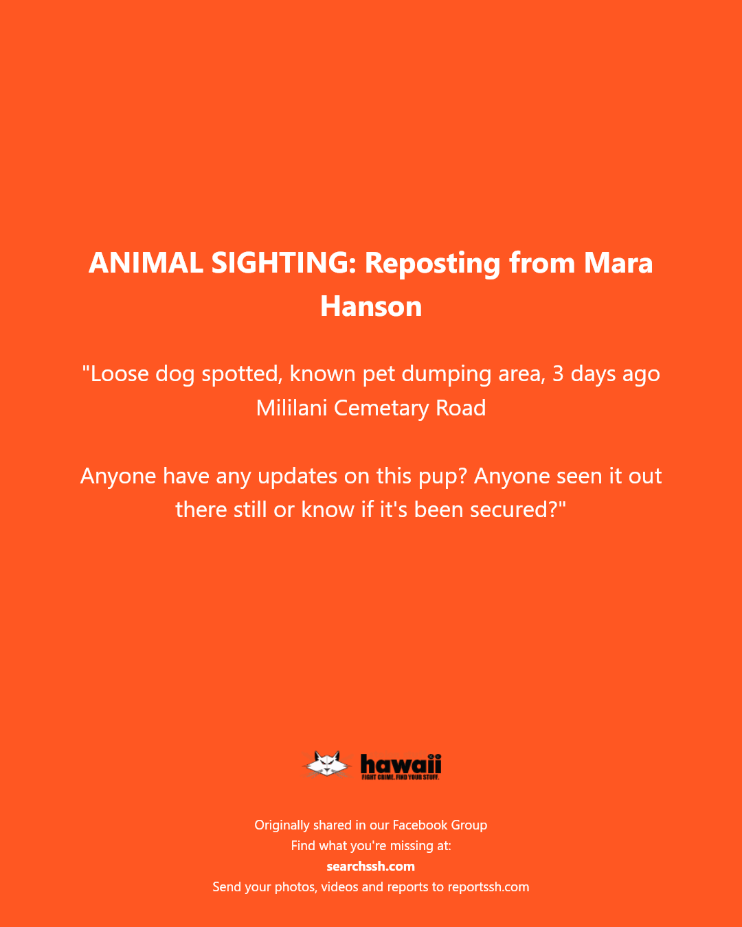 ANIMAL SIGHTING - Mililani Cemetery Road, Mililani | Stolen Stuff Hawaii