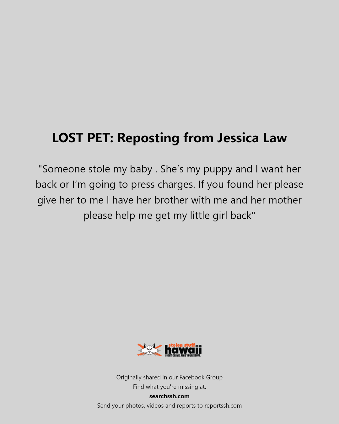 LOST PET - Unknown | Stolen Stuff Hawaii