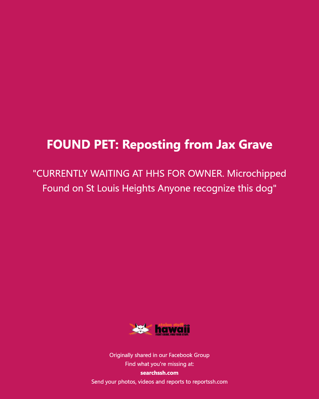 FOUND PET - St Louis Heights, Honolulu, Oahu | Stolen Stuff Hawaii