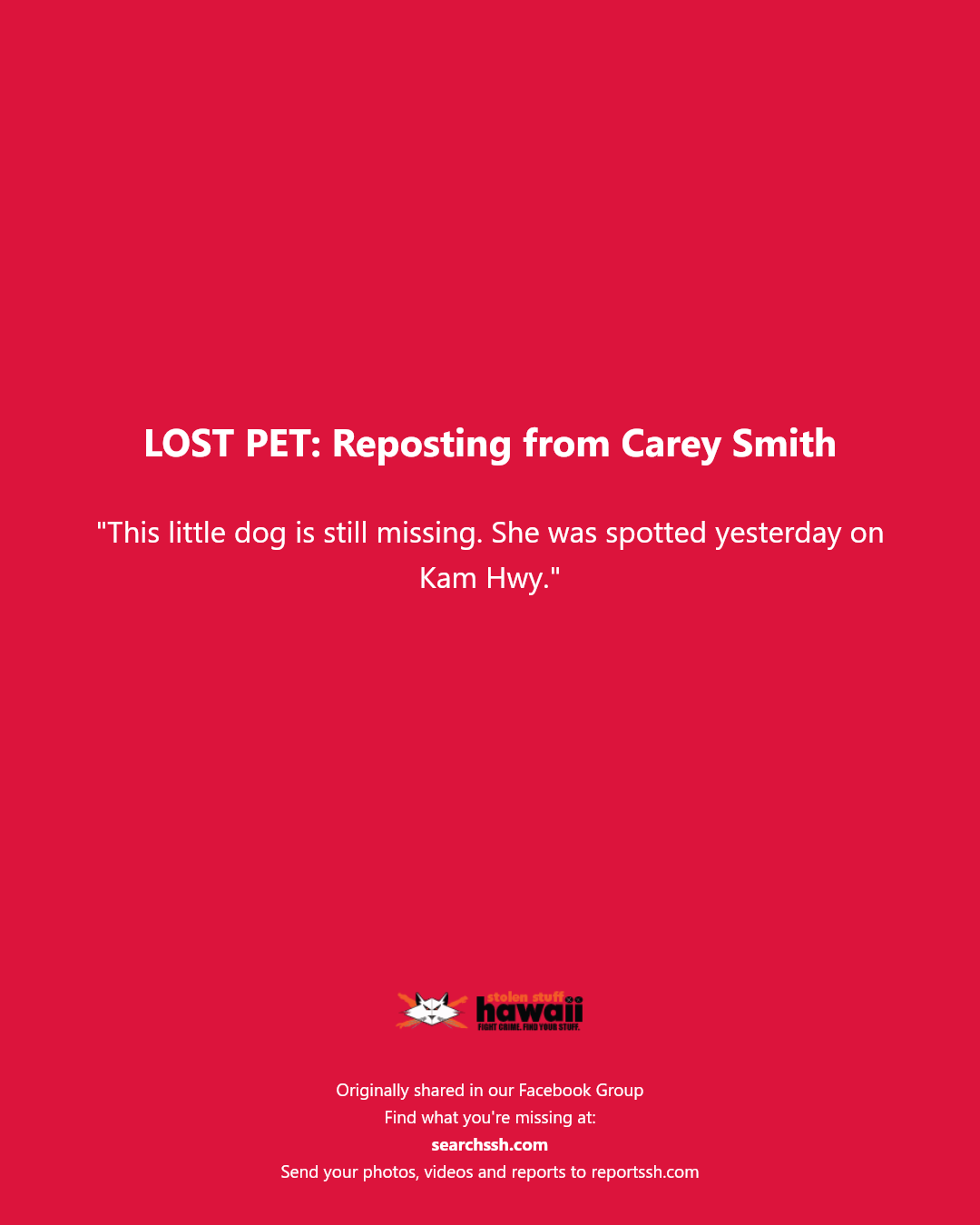 LOST PET - Kam Hwy, Hawaii | Stolen Stuff Hawaii
