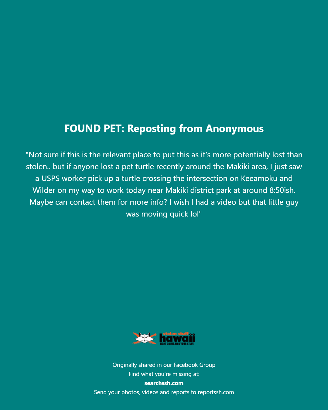 FOUND PET - Keeaumoku Street and Wilder Avenue, Makiki, Honolulu | Stolen Stuff Hawaii