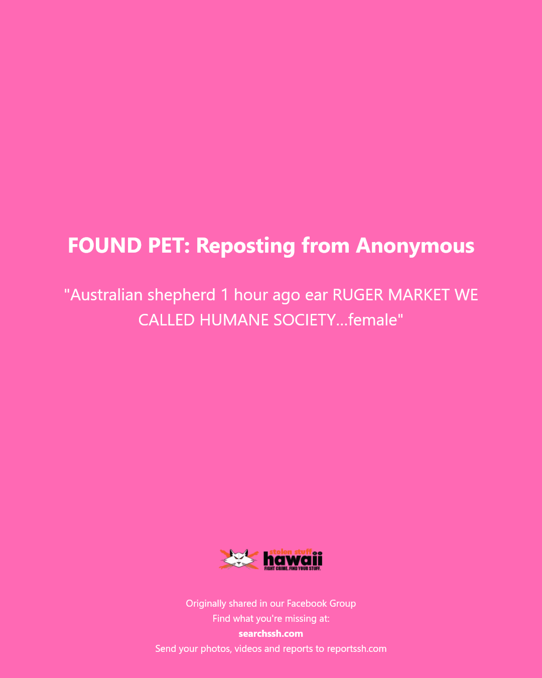 FOUND PET - Unknown | Stolen Stuff Hawaii