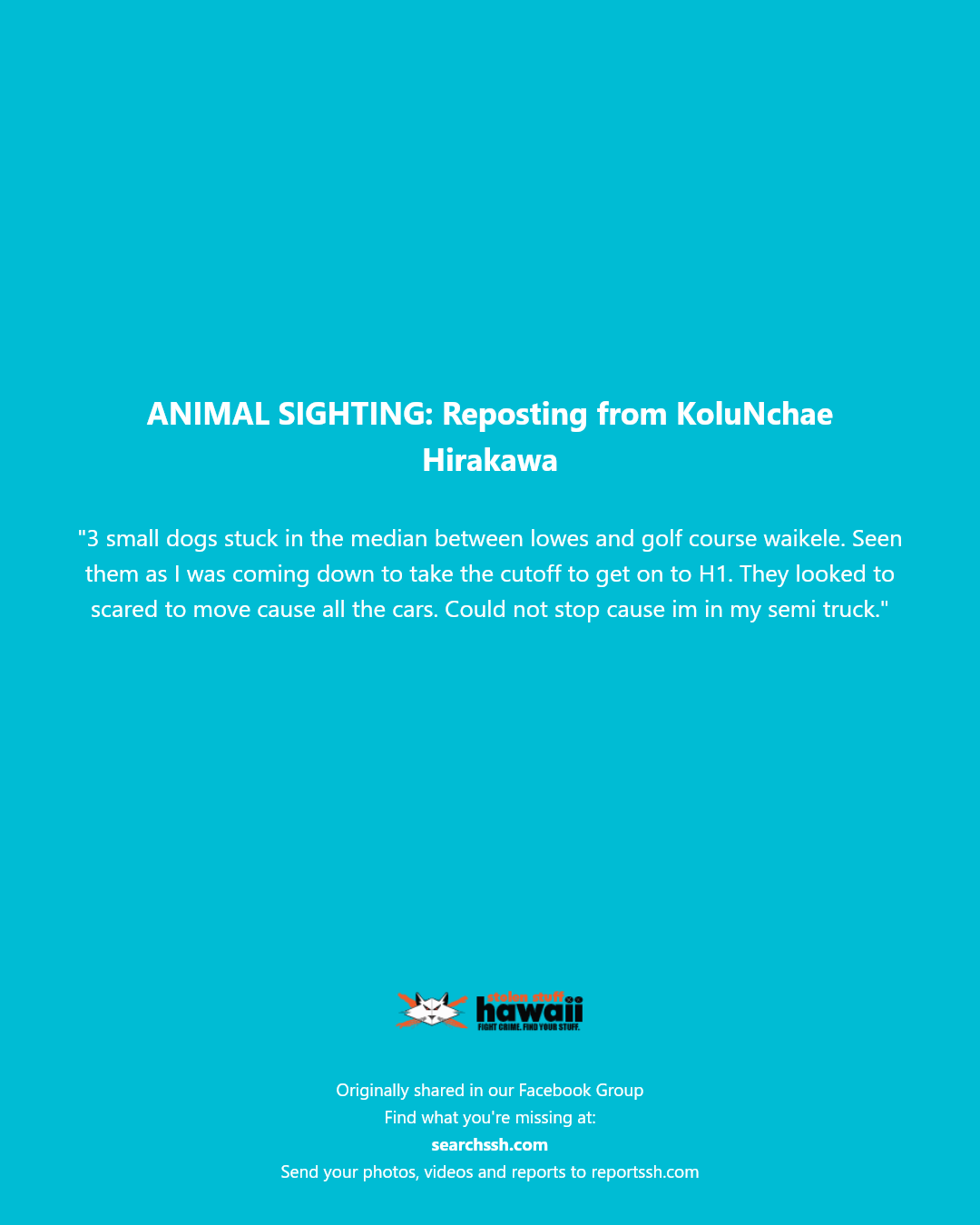 ANIMAL SIGHTING - Between Lowe's and Waikele Golf Course, Waikele, Oahu | Stolen Stuff Hawaii
