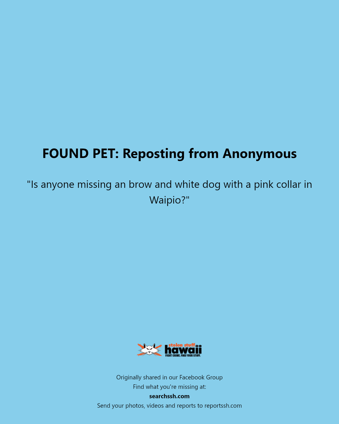 FOUND PET - Waipio, Honolulu, Oahu | Stolen Stuff Hawaii