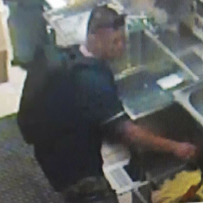 THEFT - Papa John's @ Windward Mall, Kaneohe, Oahu | SSH Search