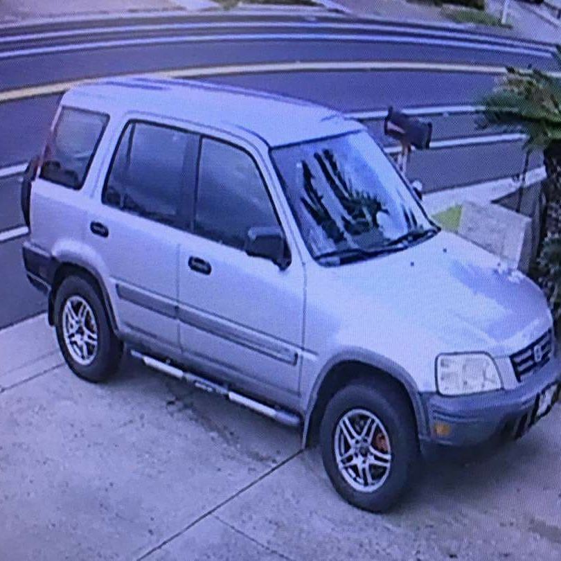 VEHICLE THEFT - Hawaii | SSH Search
