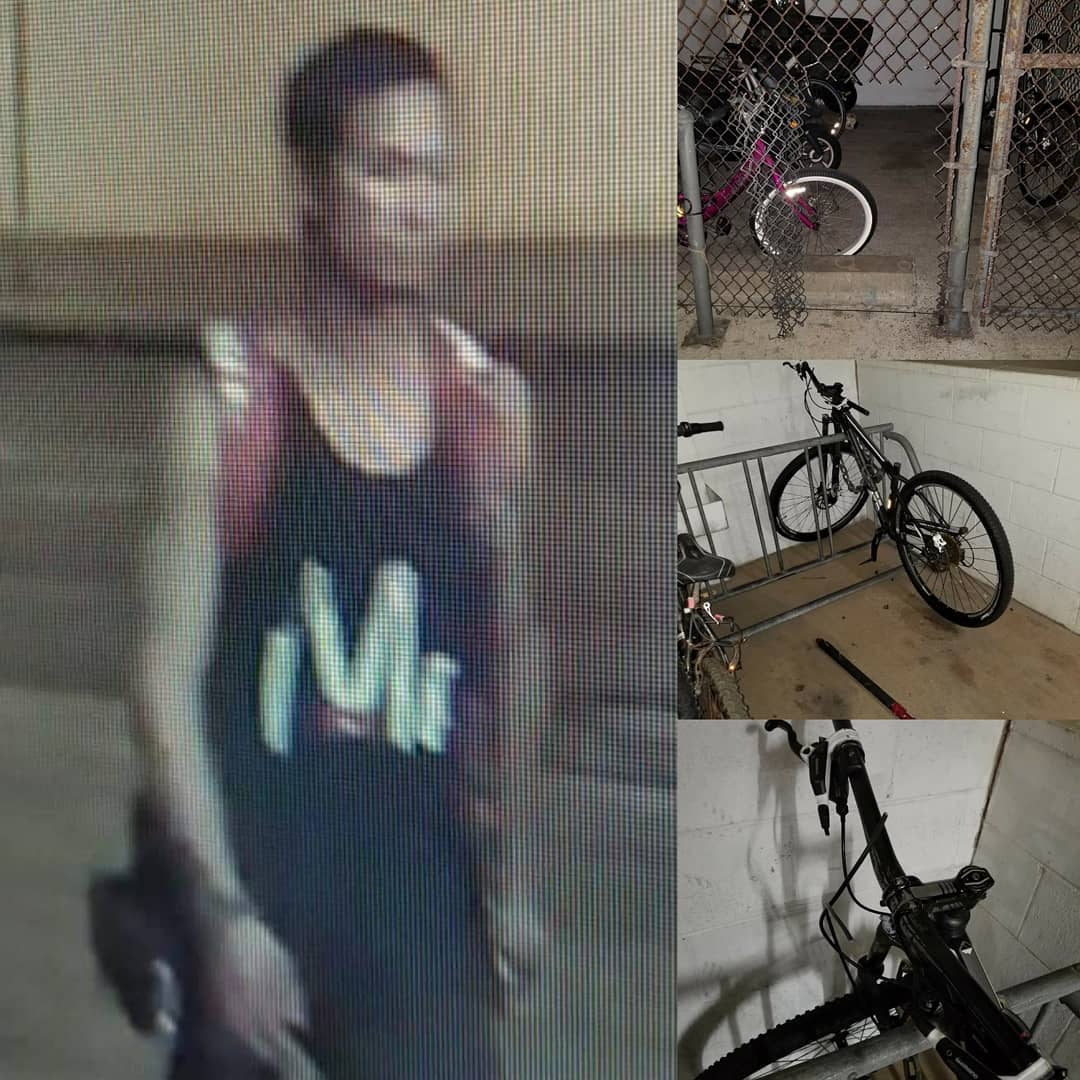 THEFT - Tusitala Street, Waikiki, Oahu | SSH Search