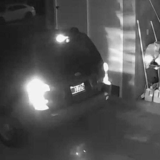 THEFT - Hawaii | SSH Search