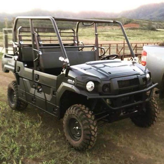 VEHICLE THEFT - Pasture area near halfway bridge, Kauai | SSH Search