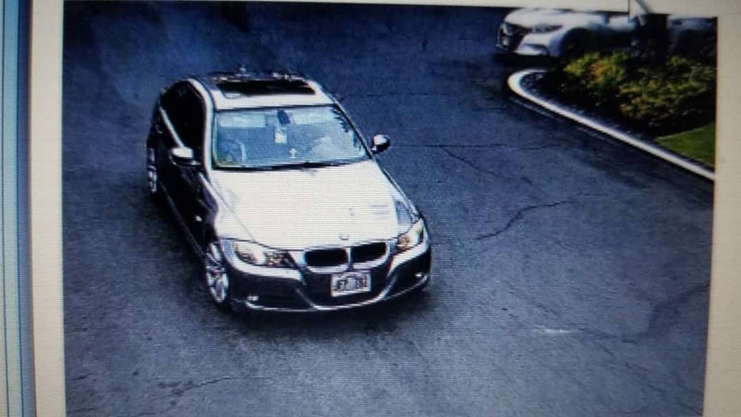 VEHICLE THEFT - Hawaii | SSH Search