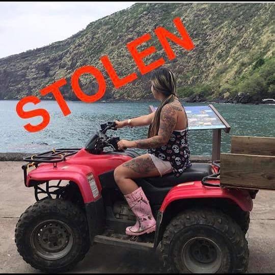 VEHICLE THEFT - Honaunau, Hawaii | SSH Search
