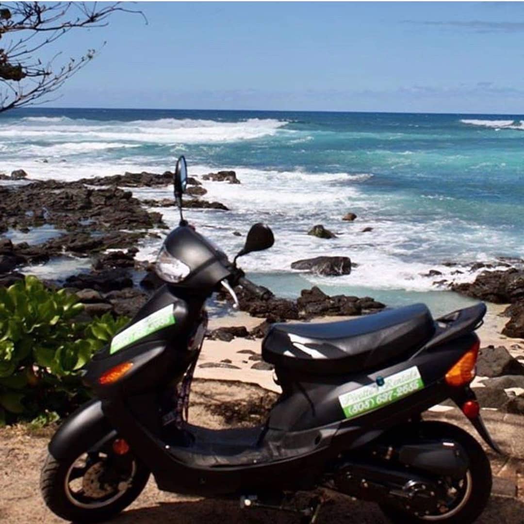 VEHICLE THEFT - Hawaii | SSH Search