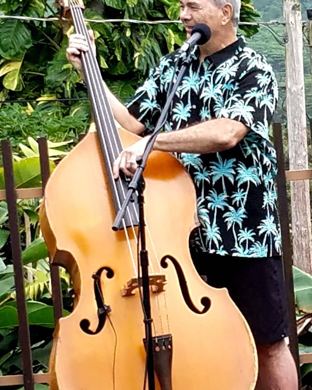 THEFT - Keahou Place on South Street, Honolulu | SSH Search
