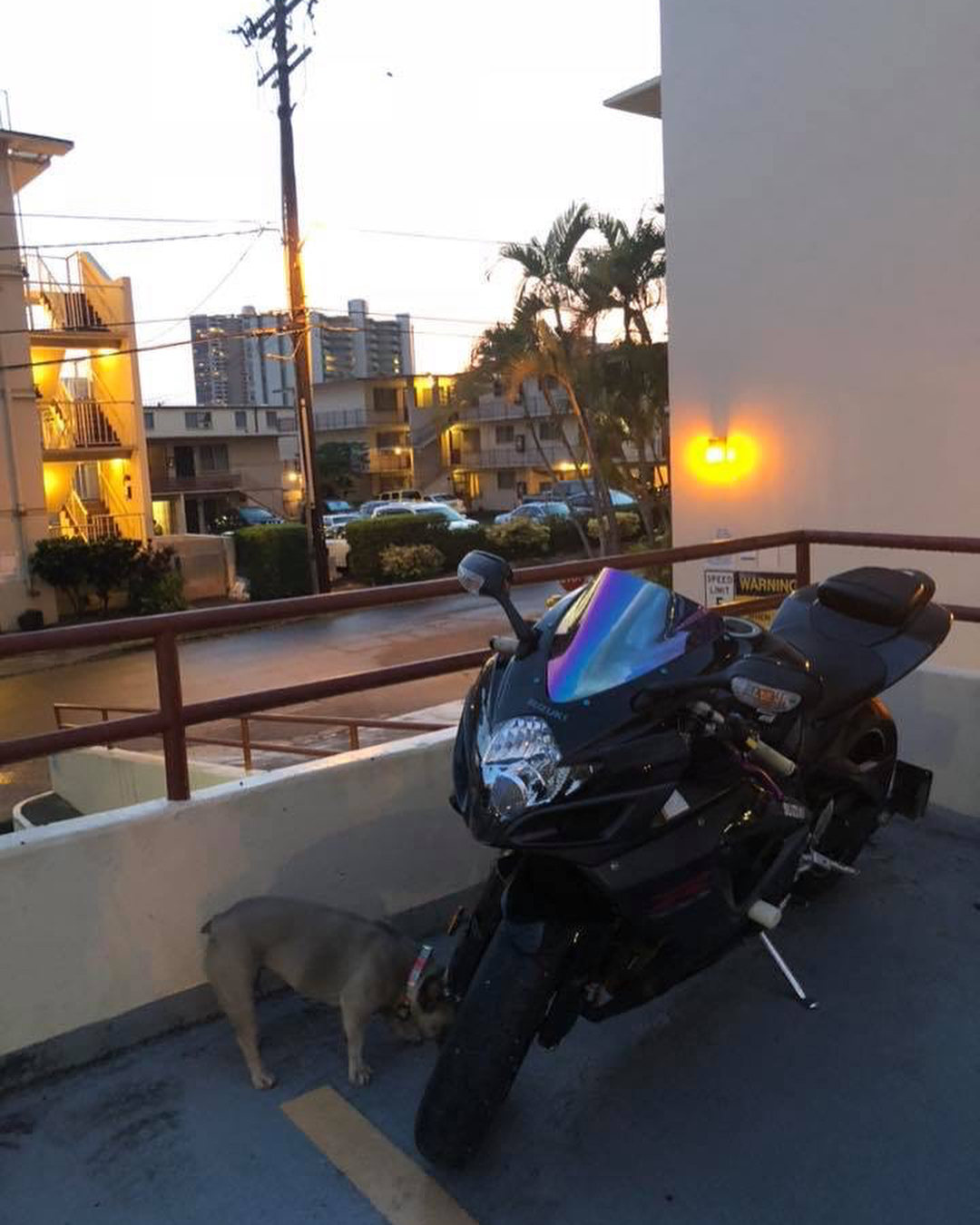 VEHICLE THEFT - Hawaii | SSH Search
