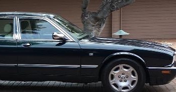 VEHICLE THEFT - Hawaii | SSH Search
