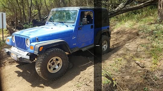 VEHICLE THEFT - Hawaii | SSH Search