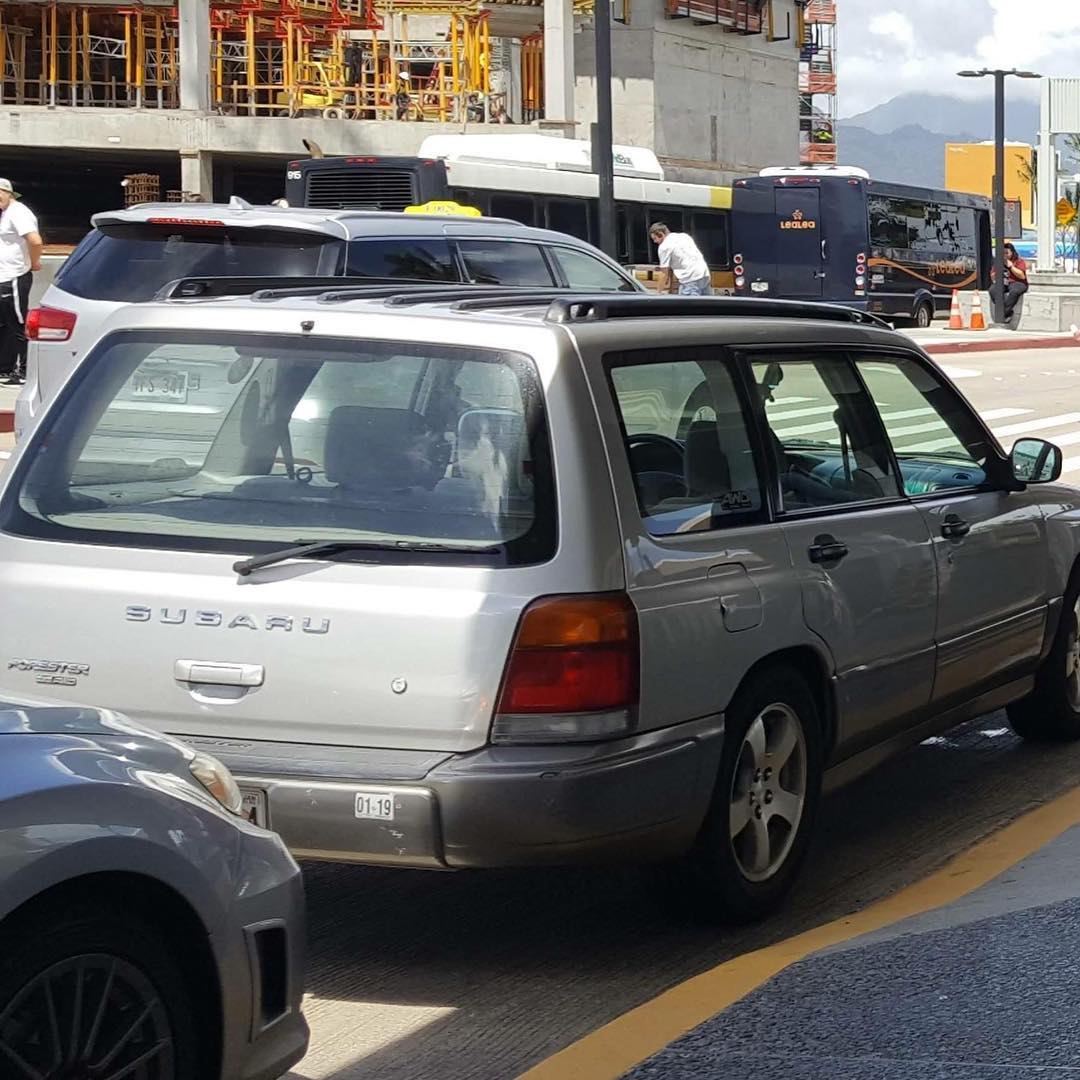VEHICLE THEFT - Kapolei Foodland, Kapolei, Oahu | SSH Search
