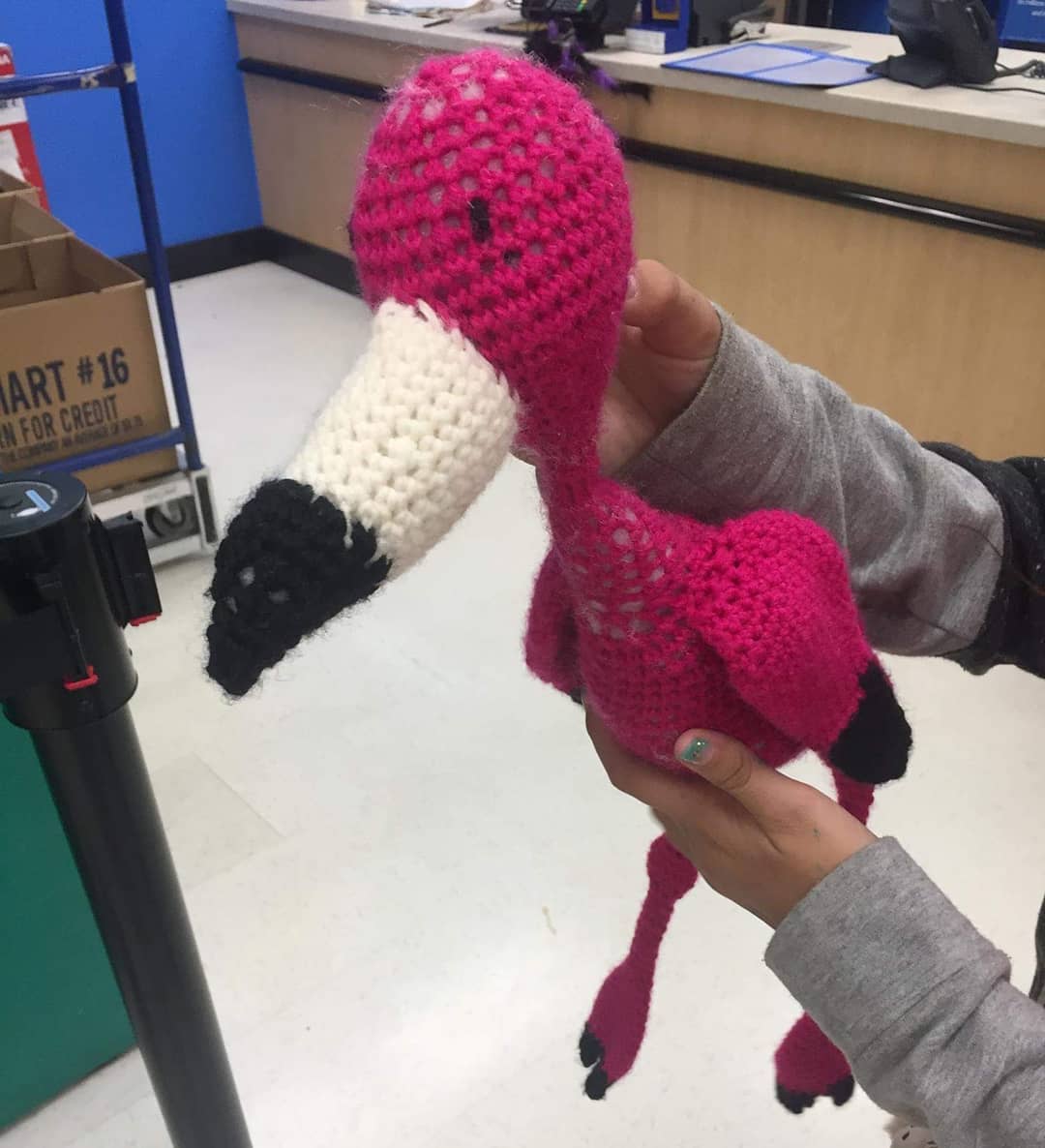 FOUND PET - Mililani Walmart, Mililani, Oahu | SSH Search