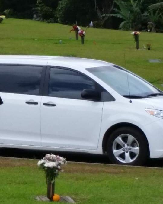 VEHICLE THEFT - Ewa Beach, Oahu | SSH Search