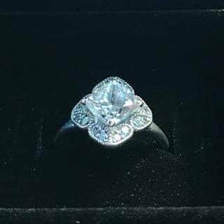 LOST ITEM - Hawaii | SSH Search