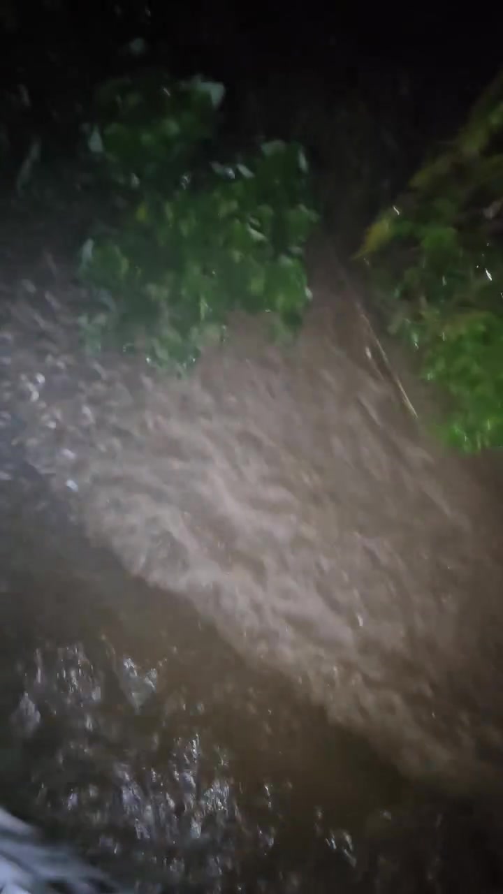 FLOOD - Unknown | Stolen Stuff Hawaii