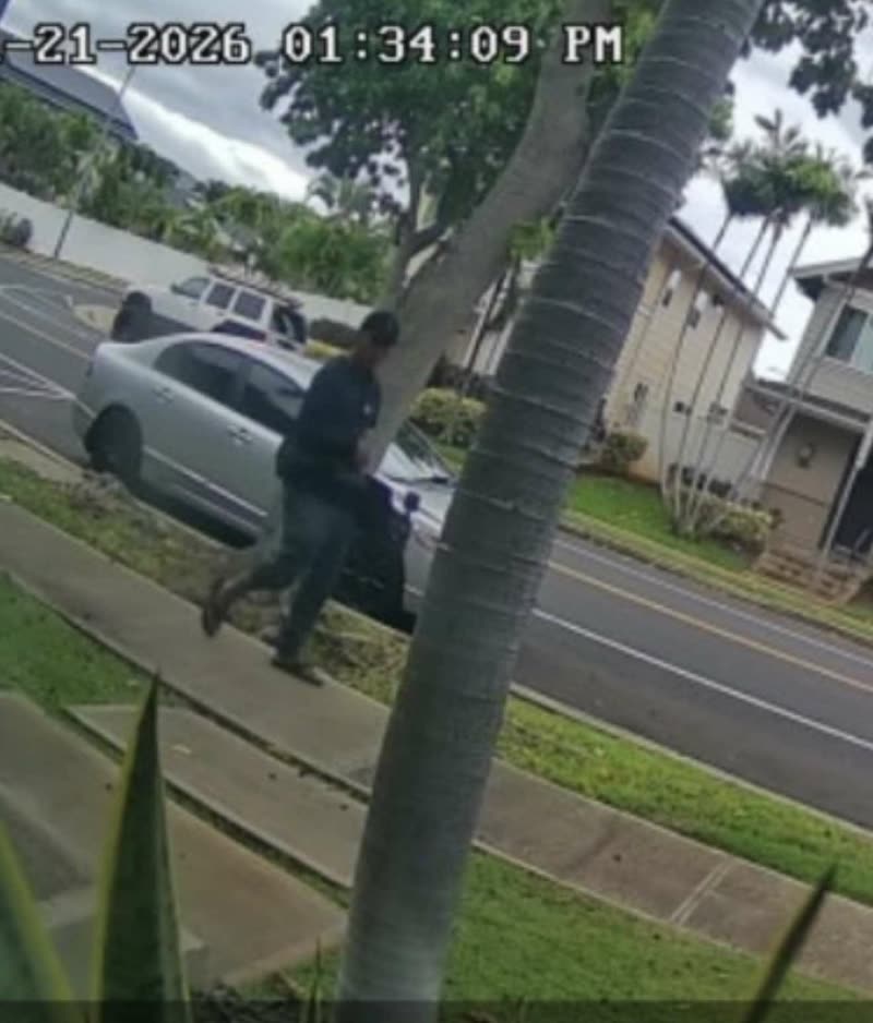 THEFT - Oahu | SSH Search