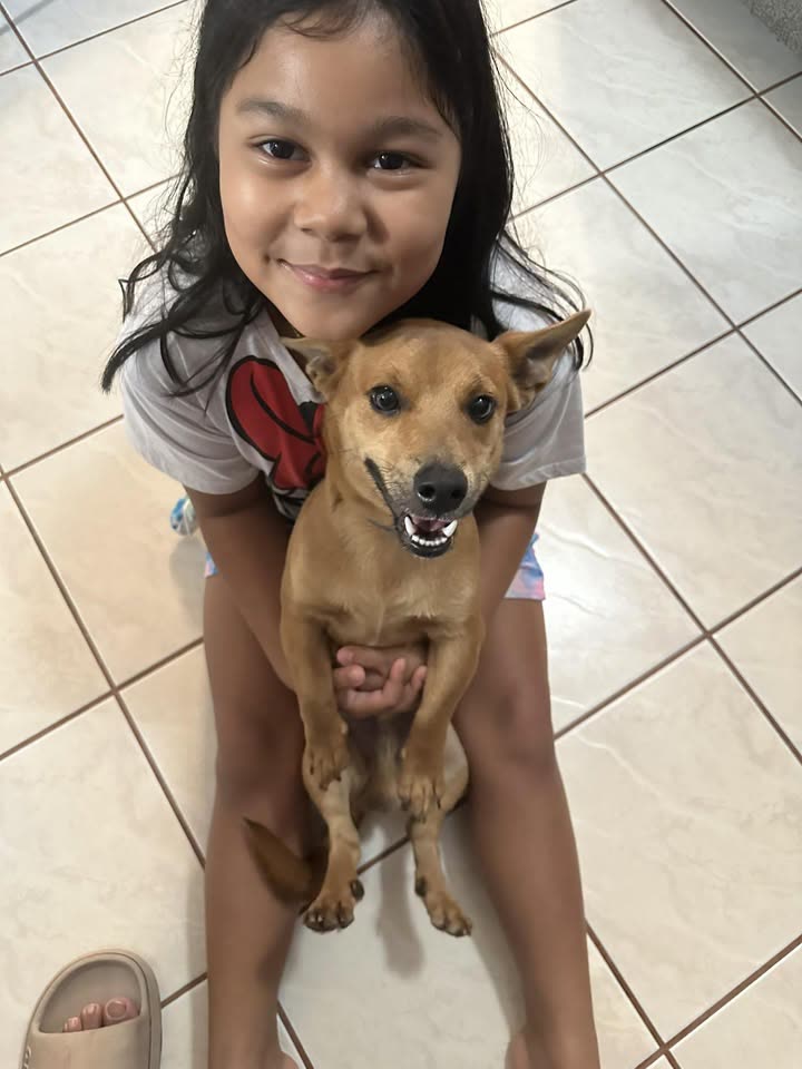 LOST PET - Maili Sea Country, Waianae, Oahu | SSH Search