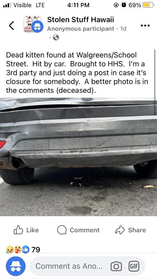 FOUND PET - Hawaii | SSH Search