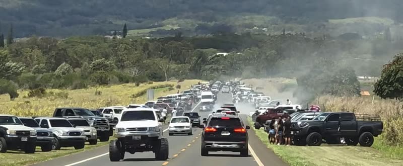 TRAFFIC - Green World Coffee, Wahiawa, Oahu | SSH Search