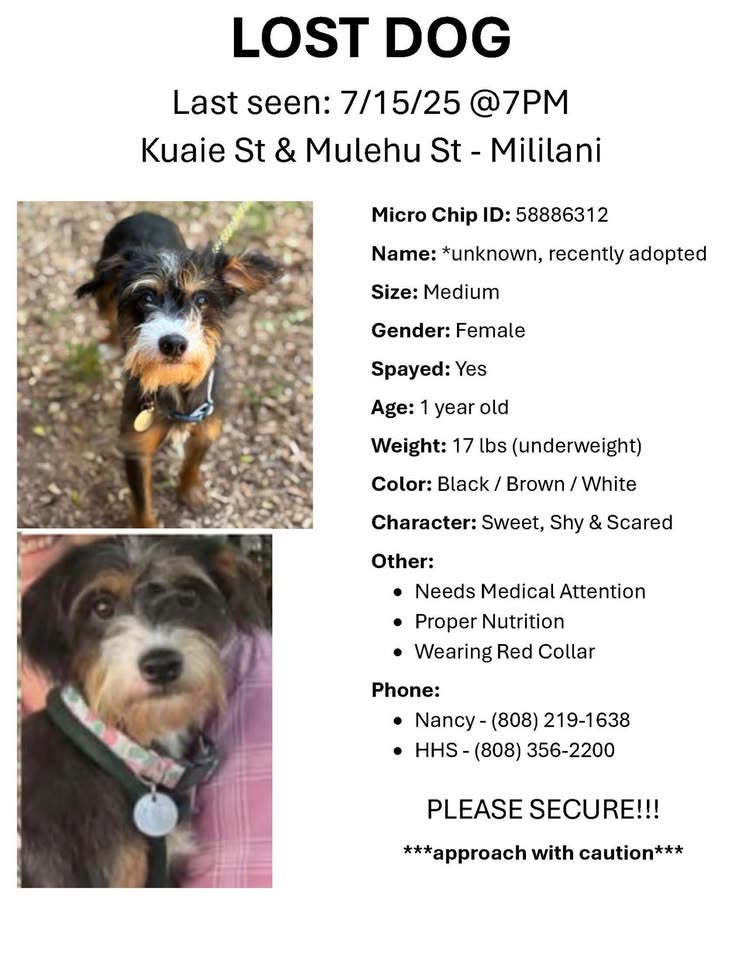 LOST PET - Hawaii | SSH Search