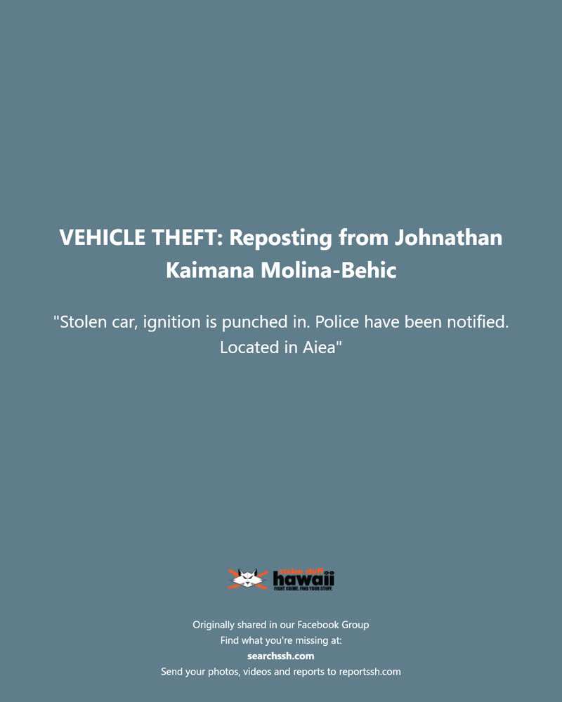 VEHICLE THEFT - Aiea, Oahu | SSH Search