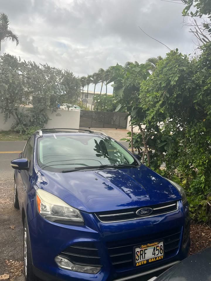 VEHICLE THEFT - Chinatown, Honolulu, Oahu | SSH Search