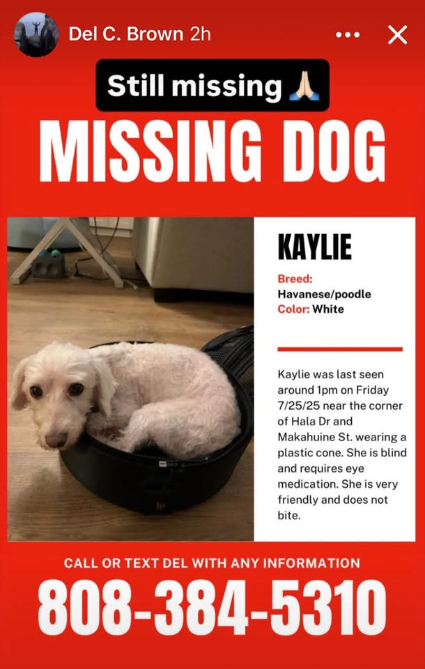 LOST PET - Kalihi, Honolulu, Oahu | SSH Search