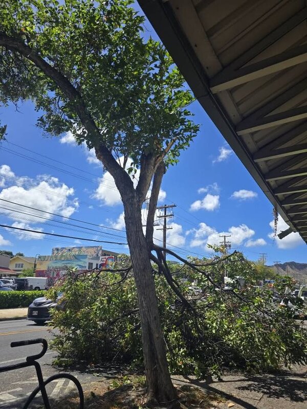 TRAFFIC INCIDENT - Hawaii | SSH Search