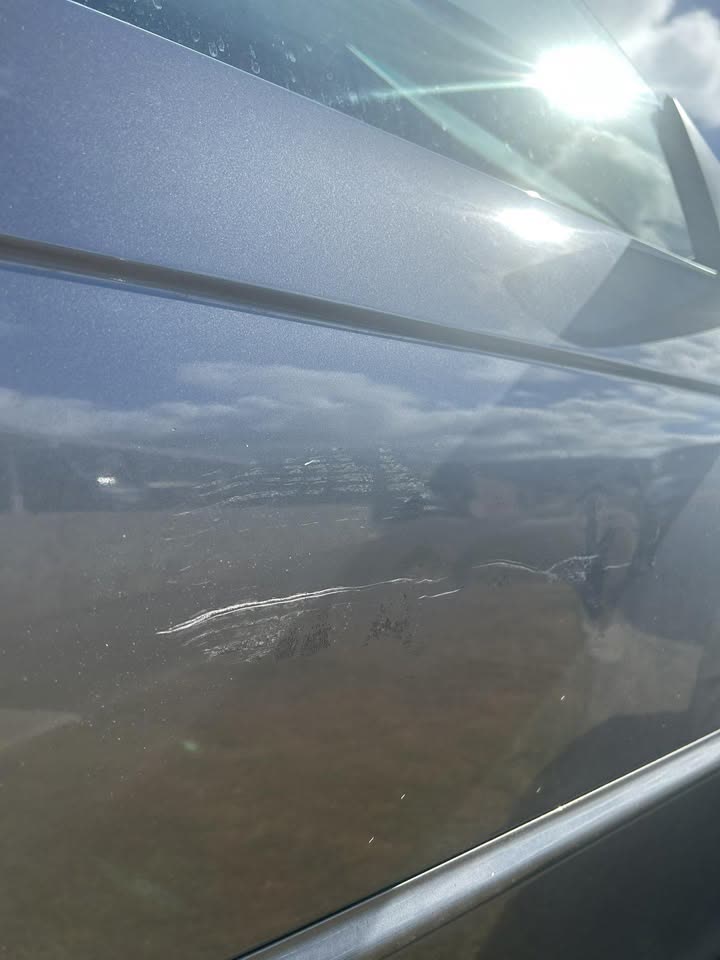 HIT AND RUN - Safeway Beretania parking lot, Honolulu | SSH Search