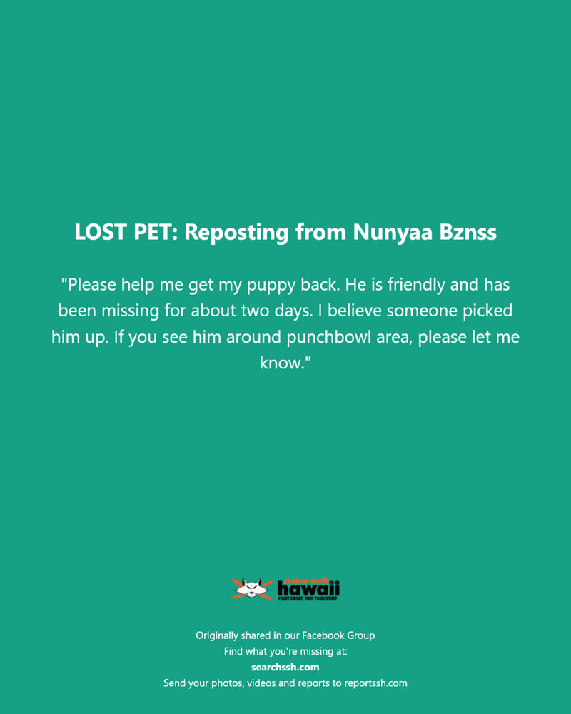 LOST PET - Punchbowl area, Honolulu | SSH Search