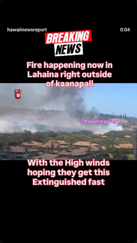 WILDFIRE - Lahaina, Maui | SSH Search