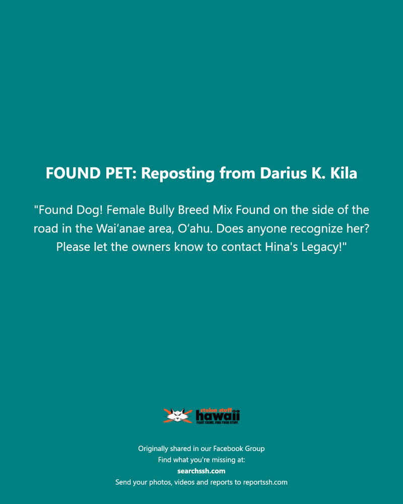 FOUND PET - Waiʻanae area, Oʻahu | SSH Search