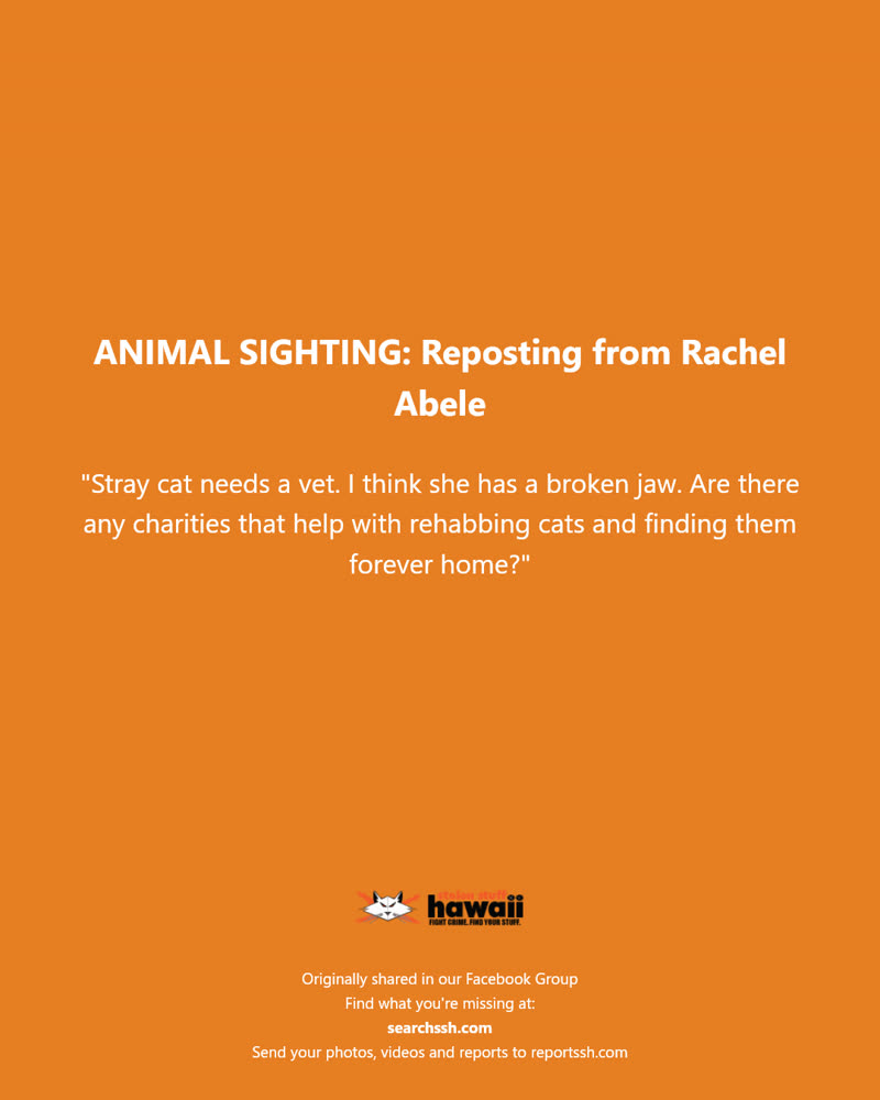 ANIMAL SIGHTING - Hawaii | SSH Search