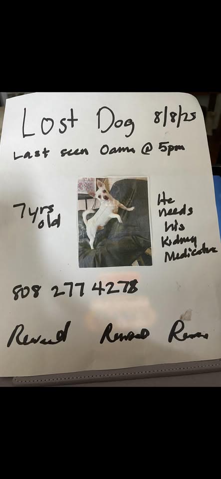 LOST PET - Oama Street, Ewa Lani, Oahu | SSH Search