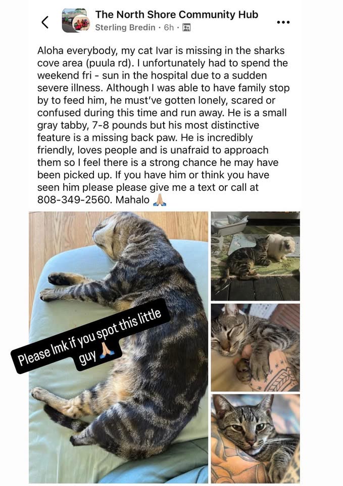 LOST PET - North Shore, Oahu | SSH Search