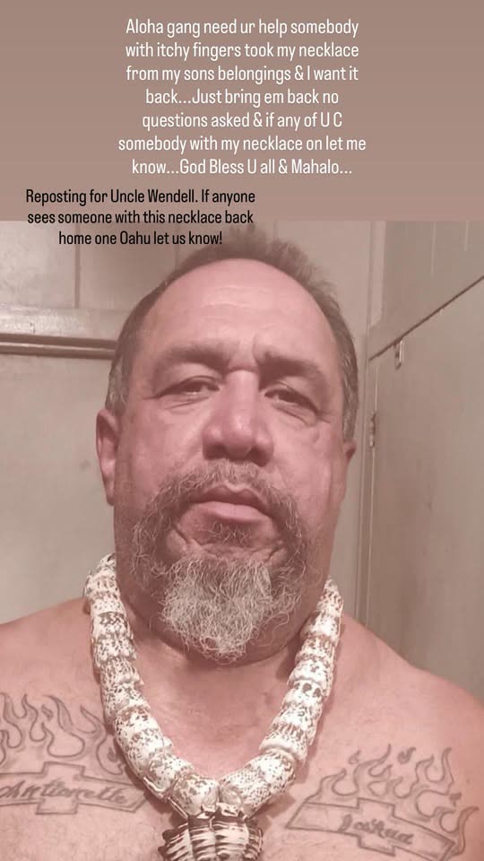 THEFT - Hawaii | SSH Search