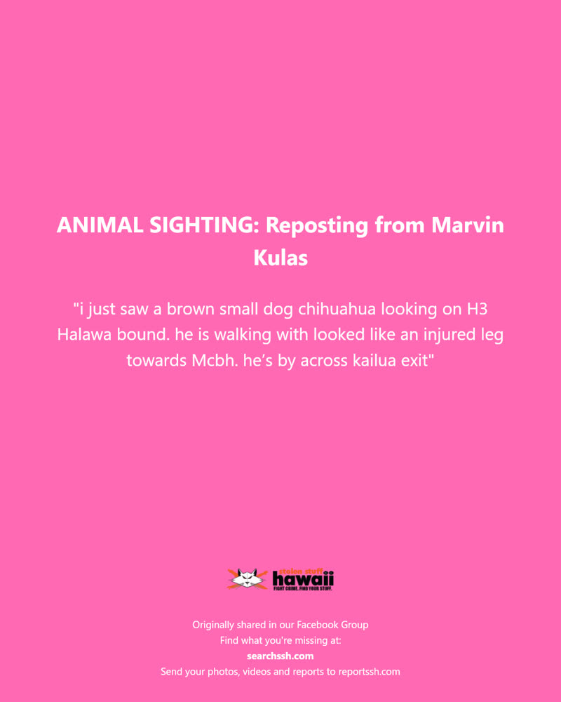 ANIMAL SIGHTING - H3 Halawa bound, Kailua exit | SSH Search