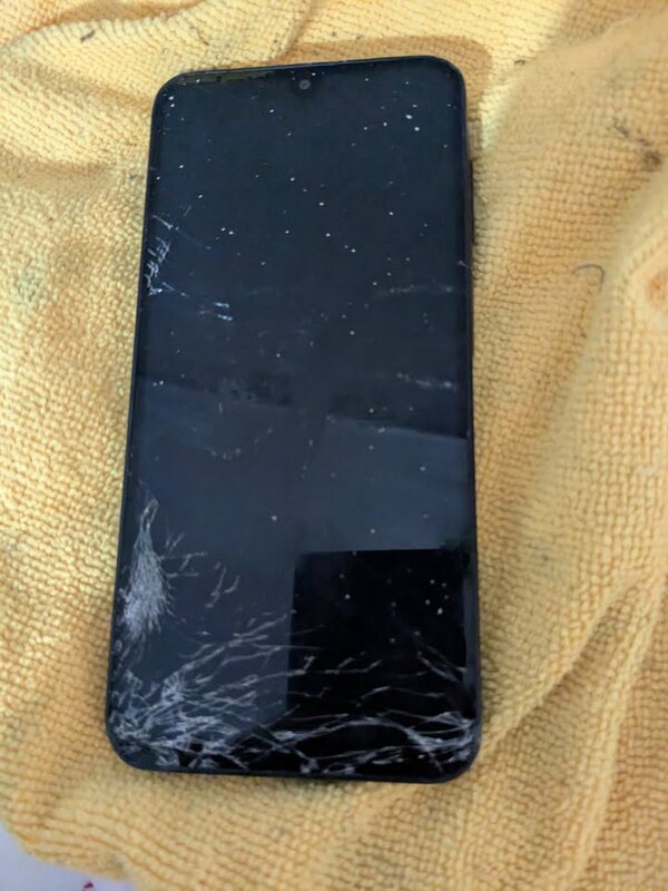 FOUND ITEM - Mccully Street and Kalakaua Avenue, Honolulu | SSH Search