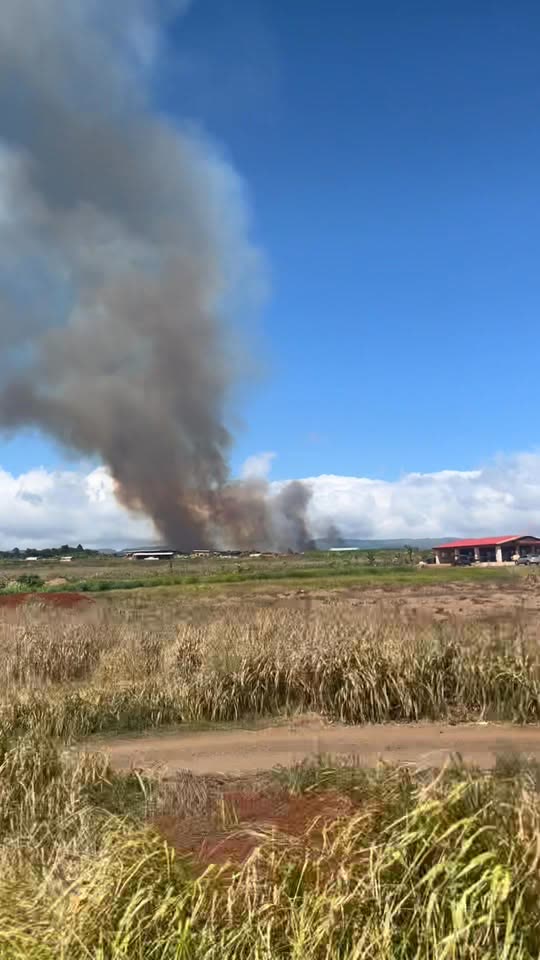 FIRE - Palaa, Dole Cannery, Honolulu | SSH Search