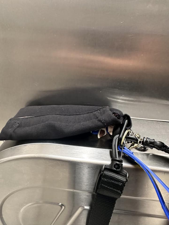 FOUND ITEM - Kapolei, Oahu | SSH Search