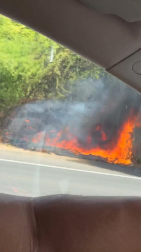 FIRE - Sea Country, Oahu | SSH Search