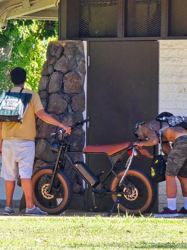 ATTEMPTED THEFT - Ala Moana Beach Park, Honolulu, Oahu | SSH Search